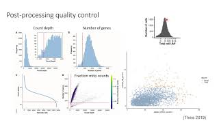 W5c RNAseq III Analysis – Day 1 [upl. by Rennold]