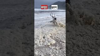 समुंद्र में झाग क्यों बनते है  Is sea foam harmful [upl. by Notlim]