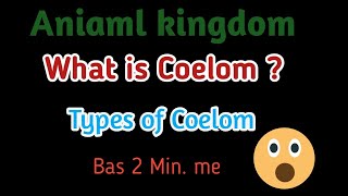 Animal kingdom Coelom NEET AIIMS [upl. by Fezoj]