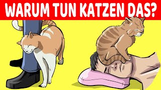 15 Seltsame Verhaltensweisen Von Katzen Endlich Erklärt [upl. by Deedee508]