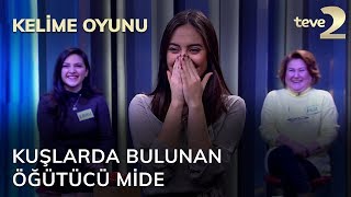 Kelime Oyunu Kuşlarda bulunan öğütücü mide [upl. by Akiraa]