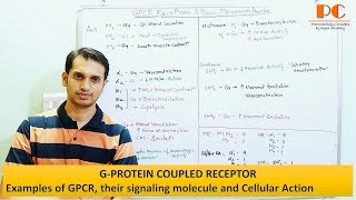 GPCR Receptors signaling molecule and Cellular Action  GPCR Mnemonics [upl. by Nalym313]