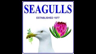 Seagulls vs Harlequins forces  07092024 [upl. by Anik]