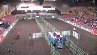 Speed Penning Open Finals [upl. by Aerised]