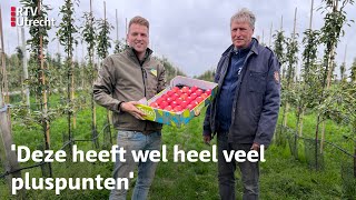 Wordt Cothense Tessa een vaste naam in het appelschap  RTV Utrecht [upl. by Atteval]