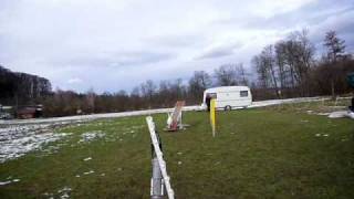 Dogtrophy Ballwurfmaschine im Agility [upl. by Arahahs]