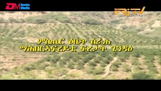 ERiTV Eritrea  ካብ ዞባታት፡ ምስጢር ዕቤት ስራሕ ማሕበር ኣፍረይቲ ፍረታት ጊንዳዕ [upl. by Caruso]