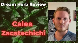 Review on Lucid Dreaming Herb  Dream Herb Calea Zacatechichi [upl. by Eilitan282]