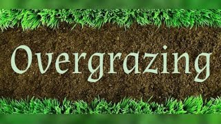 What is Overgrazing In English  Achievement [upl. by Ainehs]