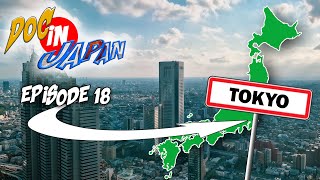 VOYAGE AU JAPON 🗾 Etape 18  Tokyo Express 🗼 [upl. by Yasibit]