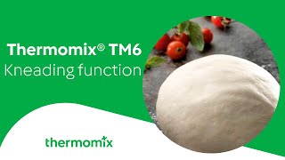 Thermomix® TM6 Kneading Function [upl. by Annelise]