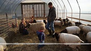 Sound Of Us Stark County farmers say regenerative practices are the future of farming [upl. by Harriett]