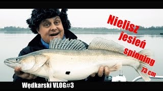 Sandacze z opadu jezioro Nielisz jesień wędkarski VLOG3 [upl. by Eiba625]