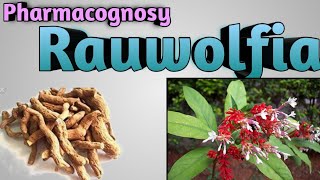 Pharmacognosy of Rauwolfia [upl. by Intosh]