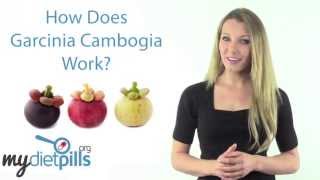 Garcinia Cambogia Extract Review  HCA Hype or Potent Fat Burner [upl. by Lathrop]