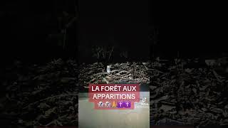 UNE FORÊT HANTÉE 👻😱🙏 pourtoi paranormal urbexeurope urbexbelgique danger urbex ghost [upl. by Garibald]