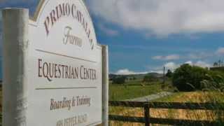 Primo Cavallo Farm  499 Pepper Road Petaluma Equestrian Facility for Sale [upl. by Gerrald602]