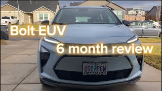 Bolt EUV 6 month review [upl. by Nirra]