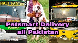 Petsmart Delivery All Pakistan Pakistan No 1 Online pet Shop 03139393944 onlinepetstore [upl. by Norene647]