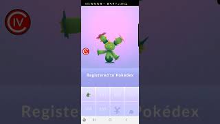 Pokemon Go 2020 Maractus Dex Entry Trade [upl. by Airdnaxela]