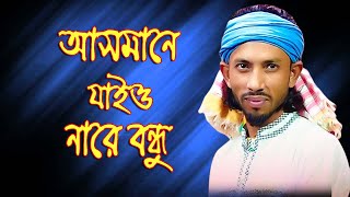 আসমানে যাইওনা বন্ধু ধরতে পারবে না  asmane jaio na bondhu  শিমুল হাসান  shimul hasan new song [upl. by Worthington409]