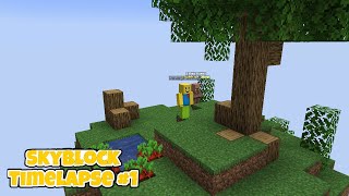 Minecraft Skyblock Timelapse 1 [upl. by Bonneau24]