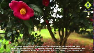 A Camelia nos xardíns do Pazo de Gandarón English subtitles [upl. by Lamar]