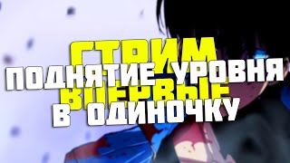 ПОДНЯТИЕ УРОВНЯ В ОДИНОЧКУ НА ПК СТРИМ  ОБЗОР ИГРЫ  КАК СКАЧАТЬ ИГРУ [upl. by Walli551]