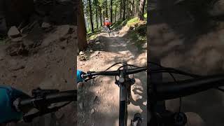 Den Trail sauber hinterlassen Rubin Klinovec mtb bike mtblife bikepark enduro downhill trail [upl. by Lairea]