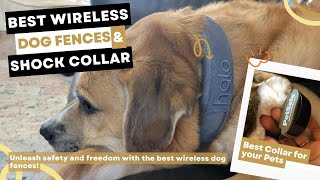 5 Best Wireless Dog Fence 2023  Waterproof and Rechargeable [upl. by Donatelli]