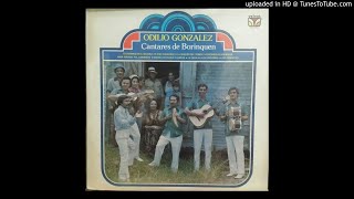 Odilio Gonzalez  Cantares de Borinquen 1977 [upl. by Omrellug]