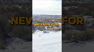 113 Acres for Sale in Elko Nevada for 6499 [upl. by Tiena518]