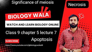 biology class 9 chapter 5 lecture 7  Significance of meiosis  Necrosis  Apoptosis [upl. by Cortney56]