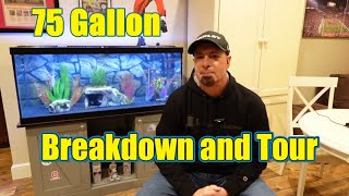 75 Gallon Tropical Aquarium BreakdownTour tropicalfish aquarium aquariumfish [upl. by Fitzsimmons]