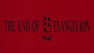 Neon Genesis Evangelion Death amp Rebirth Ending [upl. by Gertrud204]