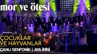 mor ve ötesi  Çocuklar ve Hayvanlar Canlı Senfonik  Aya İrini  Official Video [upl. by Nosnarb540]