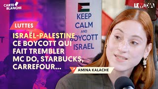 ISRAËL  PALESTINE  CE BOYCOTT QUI FAIT TREMBLER MC DO STARBUCKS CARREFOUR [upl. by Stranger]