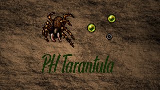 Poradnik Tibia  Tarantula Port Hope Tarantula Task [upl. by Nodnarbal121]