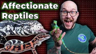 Do Reptiles Really Love You  Top 5 Most Affectionate Pet Reptiles [upl. by Maddie175]