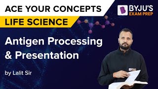 Understanding Antigen Processing amp TCell Presentation Part 1  Sketchy Medical  USMLE Step 1 [upl. by Aenad]