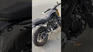 Yamaha XSR 155 Walkaround  Akrapovic Dual Tip Exhaust Arrow Decal motovlog xsr155 shorts [upl. by Kcirrez]