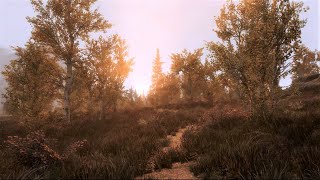 Skyrim SE Graphics  Mod List PC [upl. by Eugnimod900]