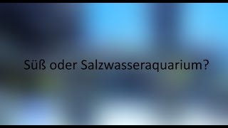 Süß oder Salzwasseraquarium [upl. by Nnalyrehc301]