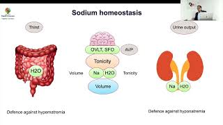 MedEClasses Module Sodium Pathophysiology [upl. by Kcub]