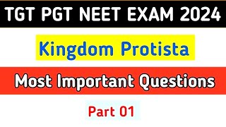 Kingdom Protista MCQ  Biological Classification MCQ  Class 11  NEET 2024 [upl. by Casabonne]