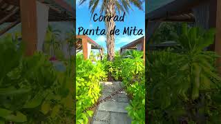 Hiltons Conrad Punta De Mita The Best Place To Stay In Mexico [upl. by Domini]