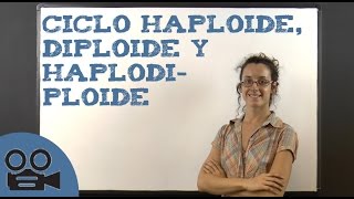 Ciclo Haploide diploide y haplodiploide [upl. by Atal889]