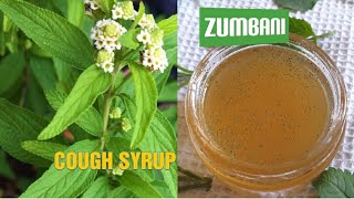 How to make zumbani herbal cough syrup  Lippia Javanica  Lemon Bush umsuzwane [upl. by Ecirehs917]