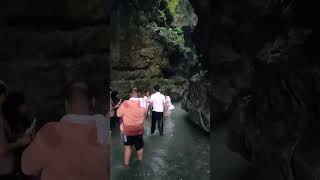 Robbers cave Dehradun nature music NatureloverDrsachinsharma robberscave [upl. by Dawes464]