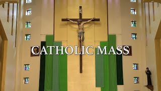 Roman Catholic Mass for June 16th 2024 Eleventh Sunday in Ordinary Time [upl. by Sewell]